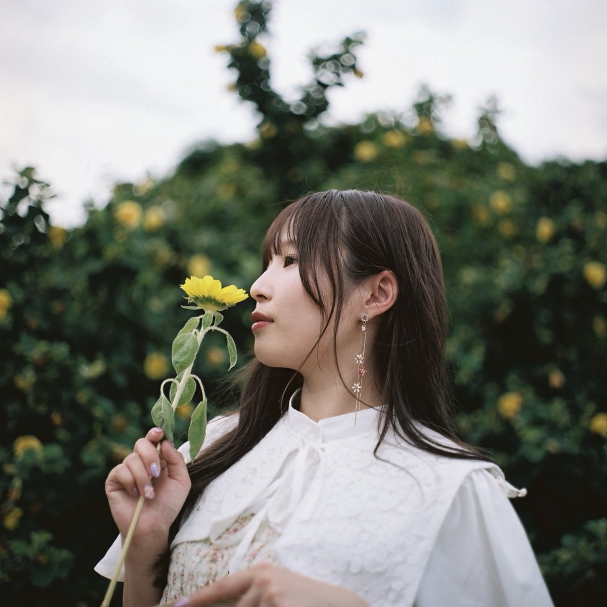 KazuD51's tweet photo. Model : #まいちご🍓さん
@maichigo10_30
和白干潟
3年ほど前の夏撮影🌻
まいちゃん、元気を出してね☺️
#filmportrait https://t.co/d17G5FL7an