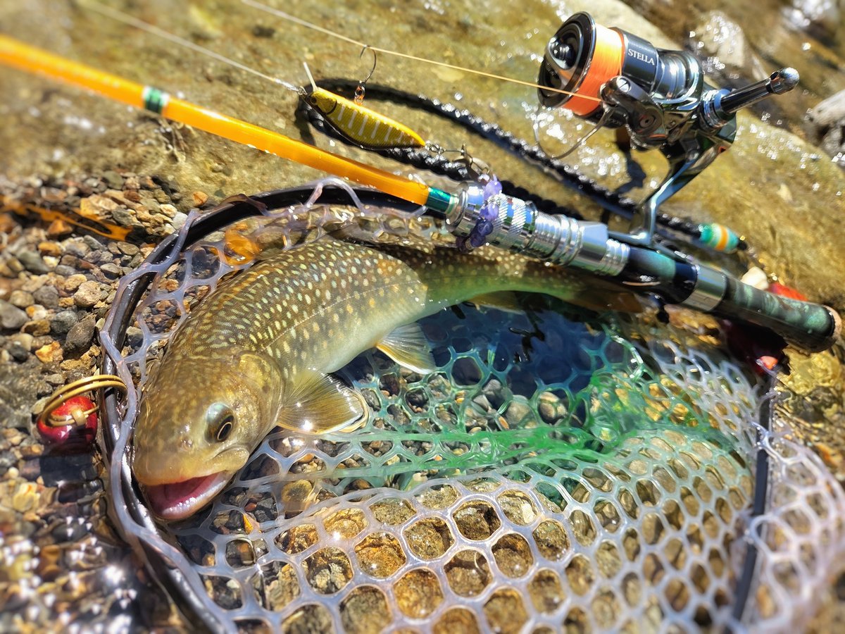 SONIDORIfishing's tweet photo. 今朝の釣行🎣

南八甲田山水系の有名河川
数は出たけどサイズが出ませんでした😅
#ヒトトキワークス #illworks #R3MANO #オイカワ商店 #青森渓流釣り https://t.co/RT2Z9xXWH7