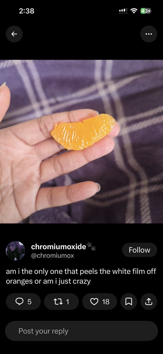 underweightcat's tweet photo. @chromiumox @glormistormi @messedupsealpup ur so fucking fat &amp; jealous just by looking at ur fingers i can tell ur hideous bra r u even disordered 😭😭😭😭 https://t.co/AbzCLXFESC