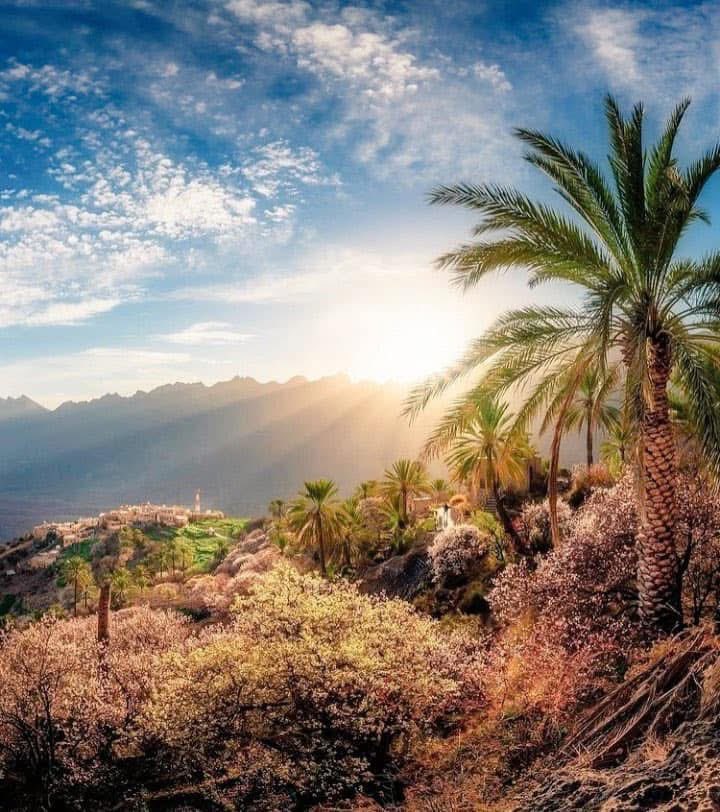 MohammadAlthiab's tweet photo. إذا توكّلت على اللهِ يقينًا ستشرق حياتك كما الشمس🌞

صباح الخير 💐 https://t.co/BlEnUP6Z0r