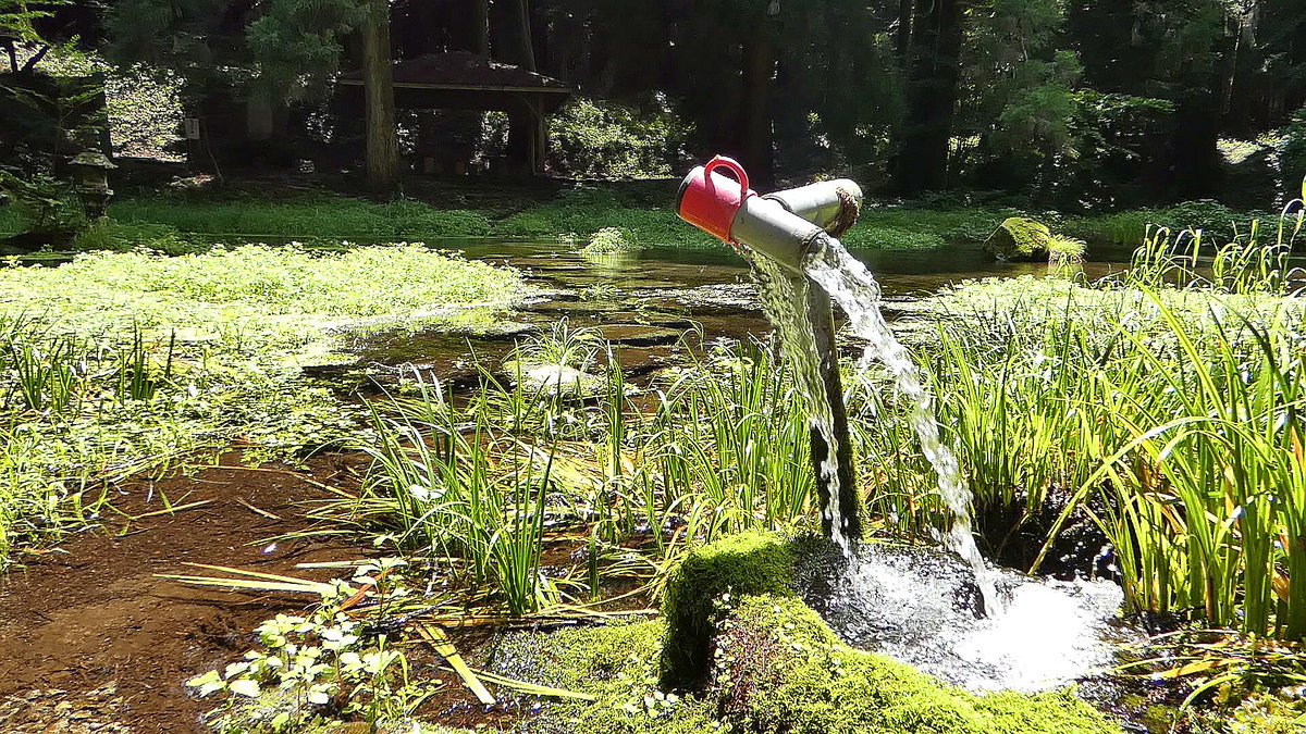 taketachannel's tweet photo. 涼やかな水音に誘われ大分と熊本の避暑地へ🌿
今回は久住町や玖珠町をのんびりと巡り、豊かな自然の恵みに心癒やされました！！ https://t.co/coj8q1R97J