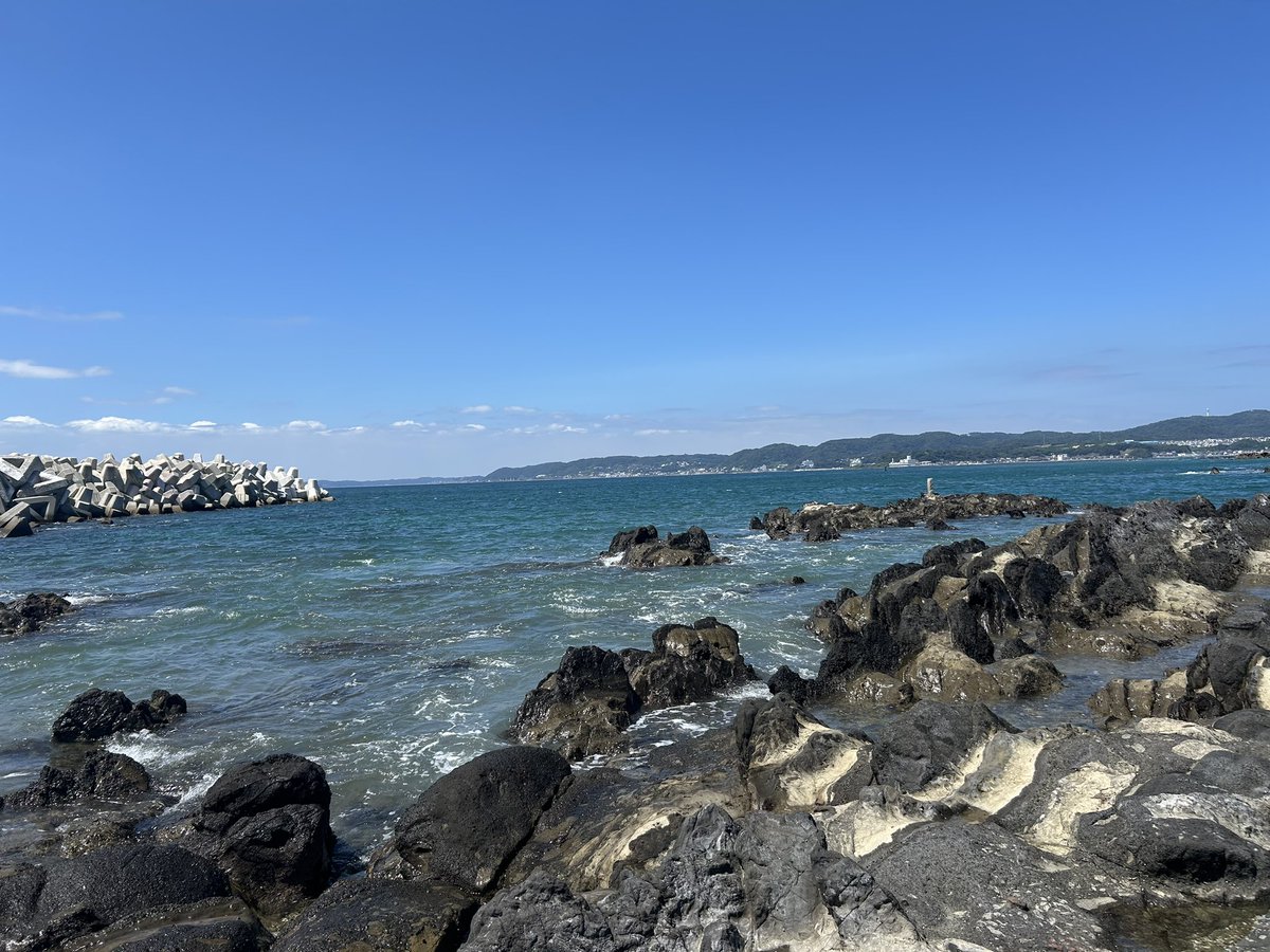 sabu6669's tweet photo. 三浦海岸行ってきたのだ、ヤドカリ可愛かったのだ
服装やばすぎてアクアマーレとかいけなかったのが心残りなのだ https://t.co/bjzX2xCgh7