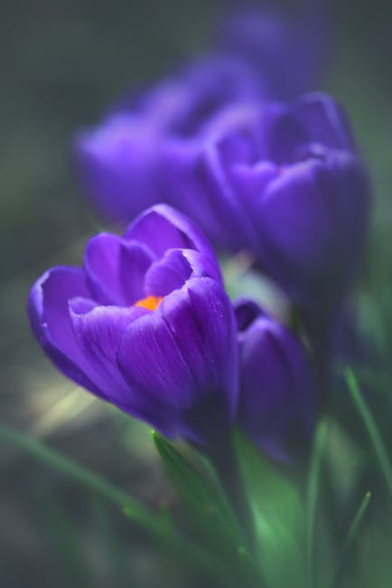 SavannahWi61310's tweet photo. مقالك له تأثير علي. كرمك ليس شكرا لك يا إيجابي له حد. صديقي. mose rodeaخبرة المؤلف في كل فقرة. دعمك مثل الحياة. 🤒 شكرا واضحة شريان يا صديقي. ezekiel skuse https://t.co/1fr58PIVj8