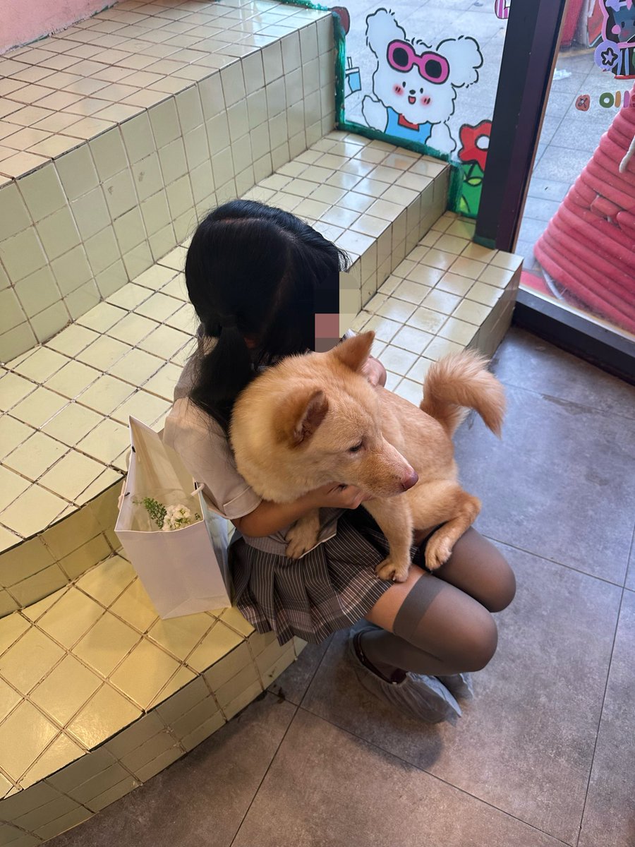 Jyuu_Tue's tweet photo. 我的女朋友头很圆 https://t.co/DSbeOiRUsC