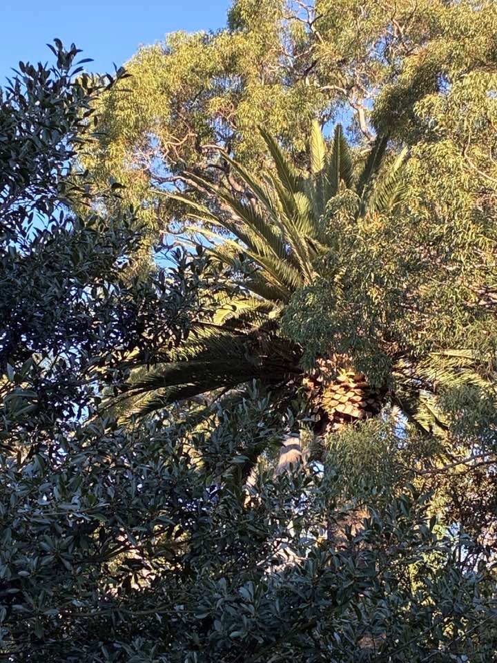 janugai1's tweet photo. Perception is elusive. We interpret complexity as order, though it is usually just chaos. https://t.co/LfR7IjXT1a