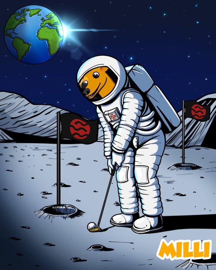 MilliCoinSei's tweet photo. @blknoiz06 It's time to send Milli to the moon https://t.co/vF7pnq8Awg