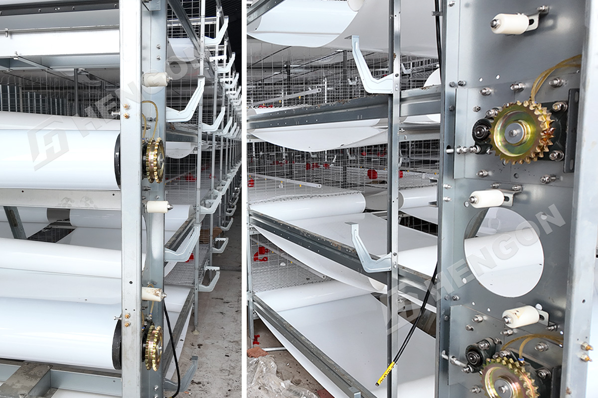 HengonPEB888's tweet photo. тЬиBuilt with precision. Designed for performance.
Every component is carefully produced to ensure stable operation and long-lasting performance for modern poultry farms.
ЁЯУйconsultant7@hglsgroup.com
ЁЯМРhttps://t.co/XK865PkLPW
#HENGON #PoultryEquipment #FarmInnovation #ModernFarming https://t.co/YelMsLQweK
