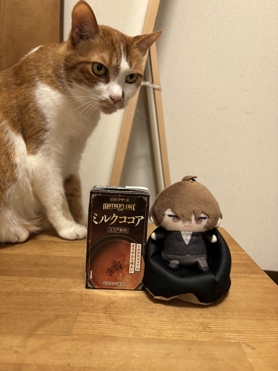 145hiyoco's tweet photo. 今日のおやつ。らくのうマザーズ・ミルクココア https://t.co/qrW93tgFvf