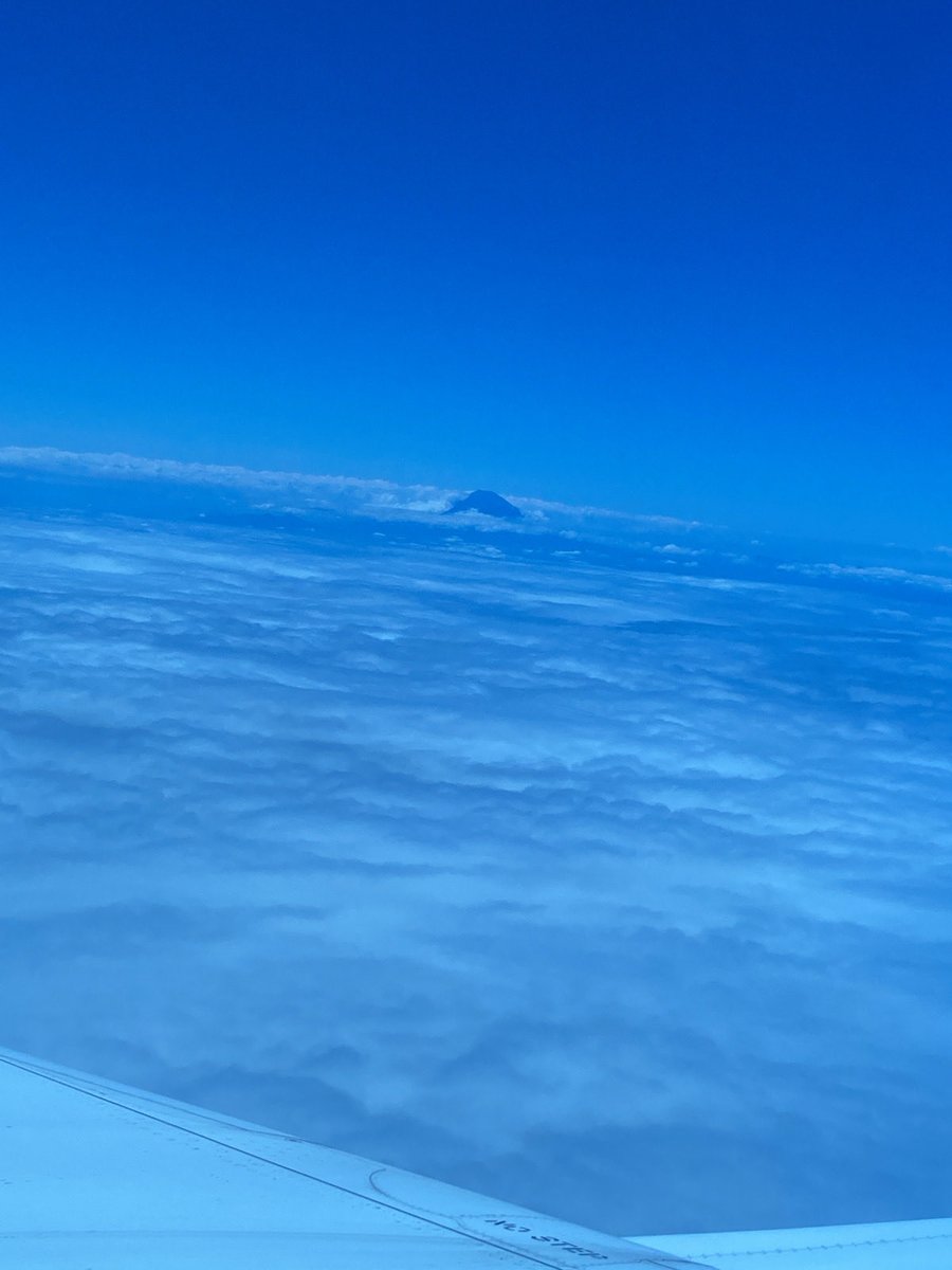 atelierfeuille's tweet photo. 福岡空港と富士山と…
おなかすいたから家帰る前に羽田の丸亀へ。
「おうちきえるきゅ…」
帰りたくなーい！でも早くおうちしろたんに会いたいっ！

飛行機にて…
CAさん「只今の東京の気温は28度、大変暑く…」
「涼しっ！！」
九州連日36度越えだったからねぇ

#しろたん #しろ旅 #旅の思い出 https://t.co/tarp1OSIN8
