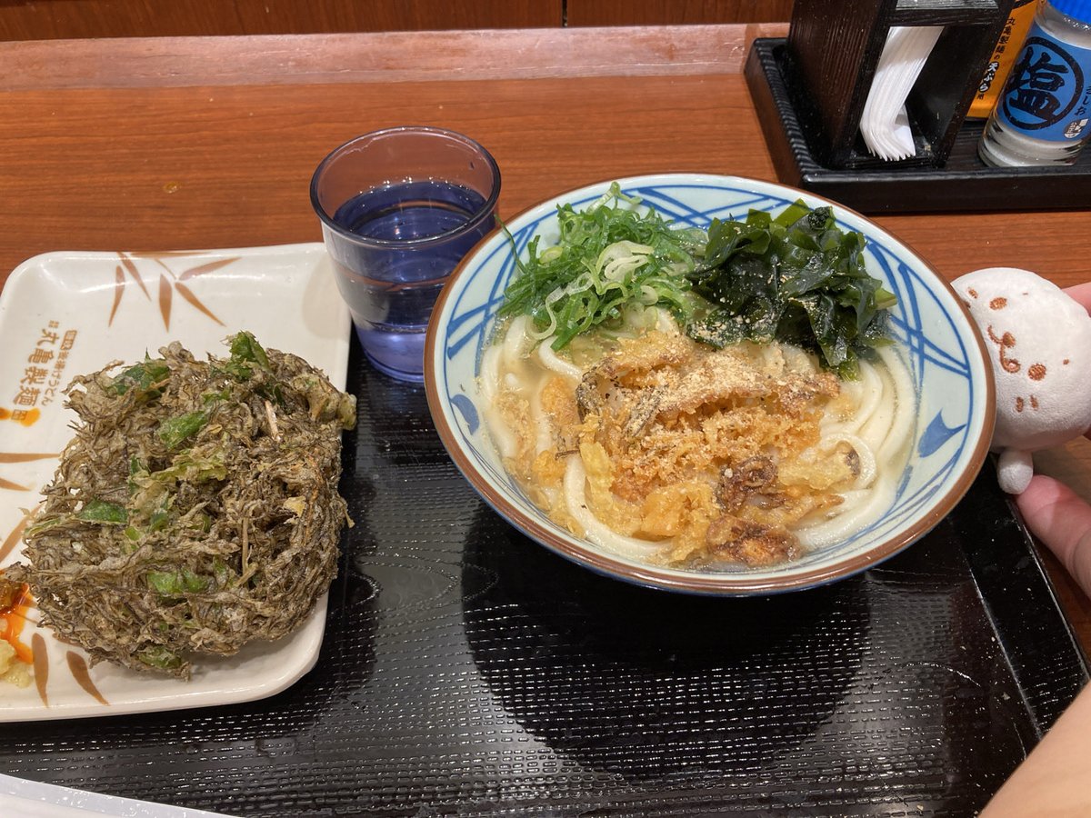 atelierfeuille's tweet photo. 福岡空港と富士山と…
おなかすいたから家帰る前に羽田の丸亀へ。
「おうちきえるきゅ…」
帰りたくなーい！でも早くおうちしろたんに会いたいっ！

飛行機にて…
CAさん「只今の東京の気温は28度、大変暑く…」
「涼しっ！！」
九州連日36度越えだったからねぇ

#しろたん #しろ旅 #旅の思い出 https://t.co/tarp1OSIN8
