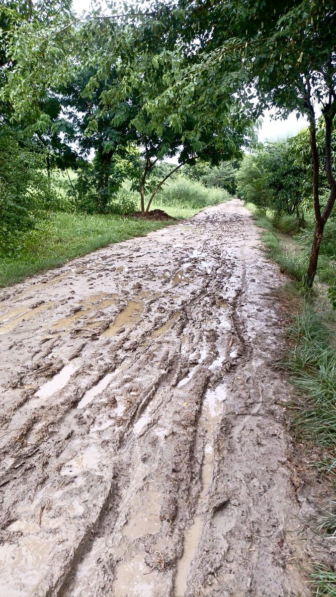 Mah__para's tweet photo. انہی راستوں پہ چل کے اگر آ سکو تو آؤ۔۔

اب بتاؤ آؤ گے ؟؟🤷🏻 https://t.co/mtRsbuw4r6