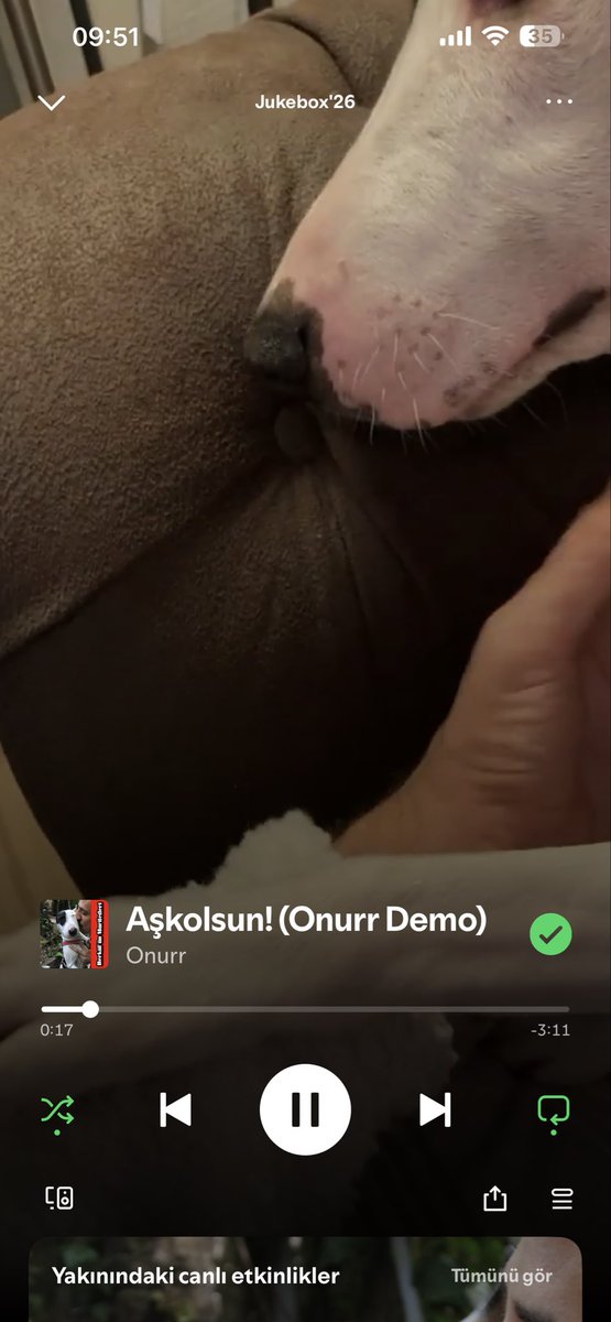 SSsnnr's tweet photo. Sabah kalkıyorum bakıyorum doğdu güneşim sonra play tuşu 👇🏻🔂 @ONURR_OFFICIAL https://t.co/kMQGi8NrtQ