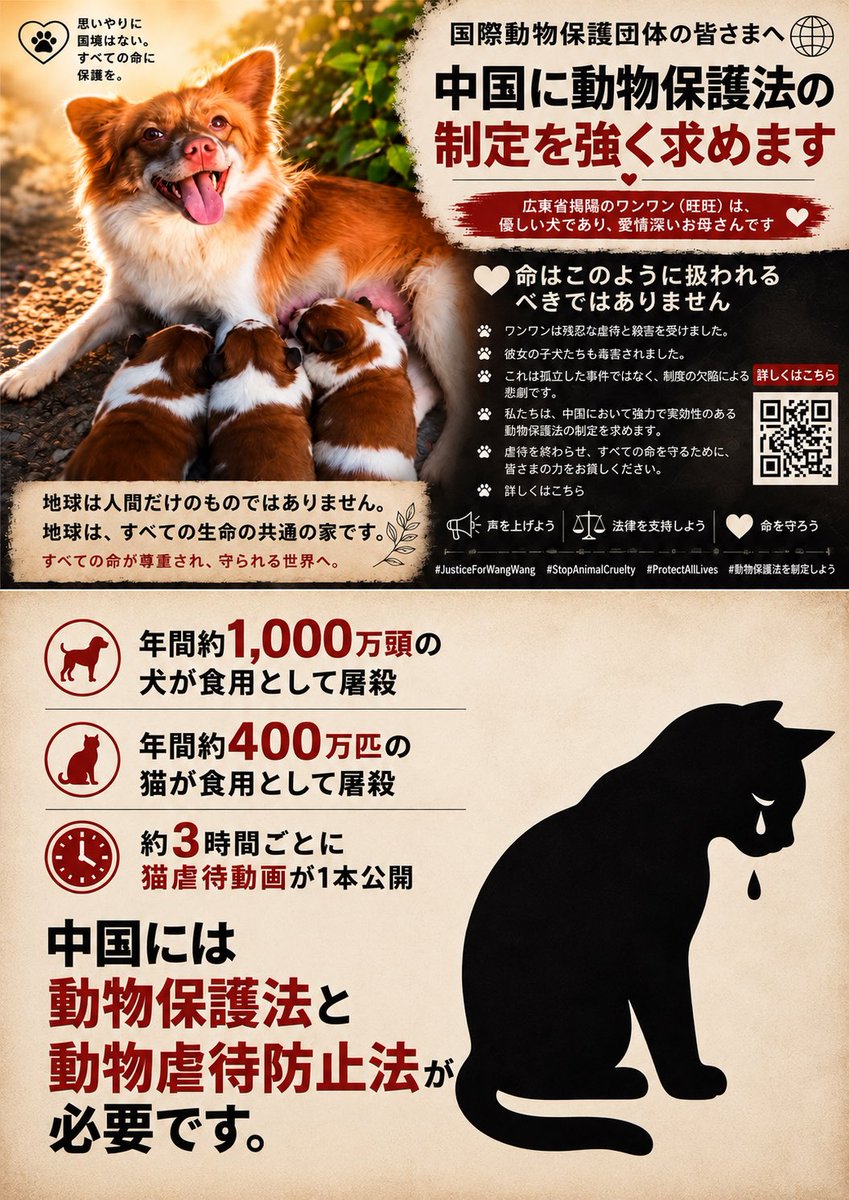 Mizu09587295's tweet photo. 今日、ポスターの印刷をお願いました。

これからコンビニやお店にお手紙を書き、掲示していただけないかお願いして回る予定です。

一人でも多くの方に、中国の動物たちの現状を知っていただけるよう、できることを続けます。

もし同じ活動にご協力いただける方がいらっしゃいましたら、お気軽にご連絡ください。
ポスターをお送りします。

#動物保護 #動物虐待反対 #中国にも動物保護法を #中国にも動物虐待防止法を #AnimalRights #StopAnimalCruelty