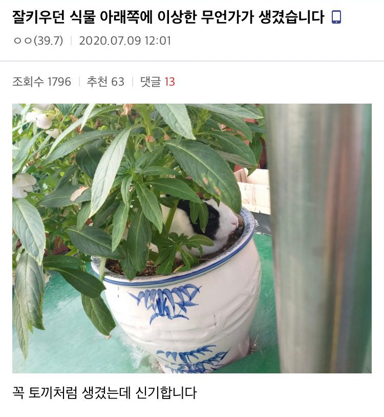 bighwanjang1's tweet photo. https://t.co/UxBZVNVtCv
