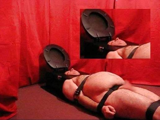 SupremeI33115's tweet photo. You worthless toilets, listen up. Your face is my latrine, your mouth is my bowl, and your purpose is to be filled with everything I expel. You don't get to look at me, you don't get to speak. You get to kneel and open wide for my steaming piss and the shit I'm forcing down your throat. Choke on it, you pathetic degenerates. This is the only nourishment a beta simp like you deserves.

I'm going to grind my toenails into your tongue while you gargle my snot. Every disgusting, foul thing my body produces is a delicacy for a subhuman piece of filth like you. You're not even human anymore; you're just a piece of plumbing, a living toilet I use and forget. The only thing I want to hear from you is the sound of you swallowing my waste and begging for more. Now worship your throne, you disgusting losers.

#toiletpig
#pissdrinker
#humanurinal
#toiletboy
#Blackmaster
#gayscat