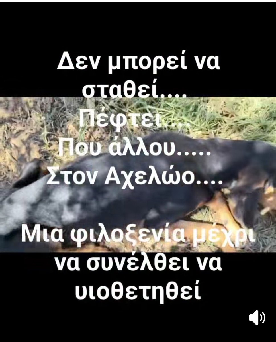 Christinalirou2's tweet photo. Κοινοποιούμε σας παρακαλώ έχουν απόλυτη ανάγκη τα ζώα εκεί. Πεθαίνουν. 🆘🆘🆘🆘🆘 https://t.co/0qeHerJeBJ