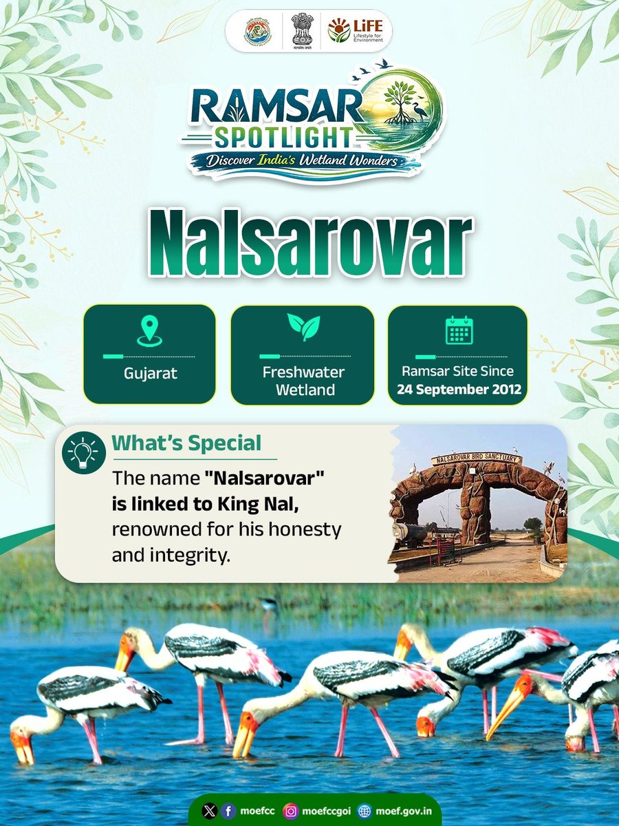 HeerDesai20's tweet photo. This #RamsarSpotlight takes us to Nalsarovar in Gujarat.
The wetland has long been associated with the Padhar community, whose traditional dance reflects their close bond with the landscape.
#WetlandsofIndia #RamsarSites https://t.co/35DnanrGHP