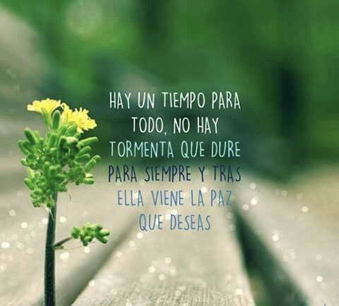 Verixu's tweet photo. Buenos días #FelizMiércoles https://t.co/4fpRUYrsTL