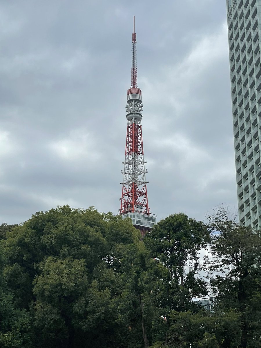 peidayoo's tweet photo. 歩いてたら東京タワーが見える日だった https://t.co/pOqjELPqjn