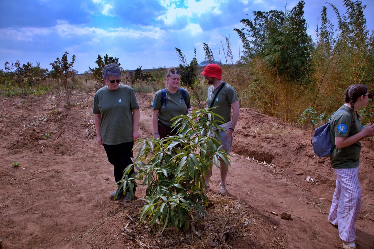 JCED_Malawi's tweet photo. Learning Visit by St Francis Trust Malawi
14 Kenelm Youth Trust delegates from the Birmingham Archdiocese in United Kingdom visited #JCED through St Francis Trust to have an immersion in #sustainableagriculture and #climateresilient building.
#ClimateAction
#agroecology https://t.co/oWNEOD2sPT