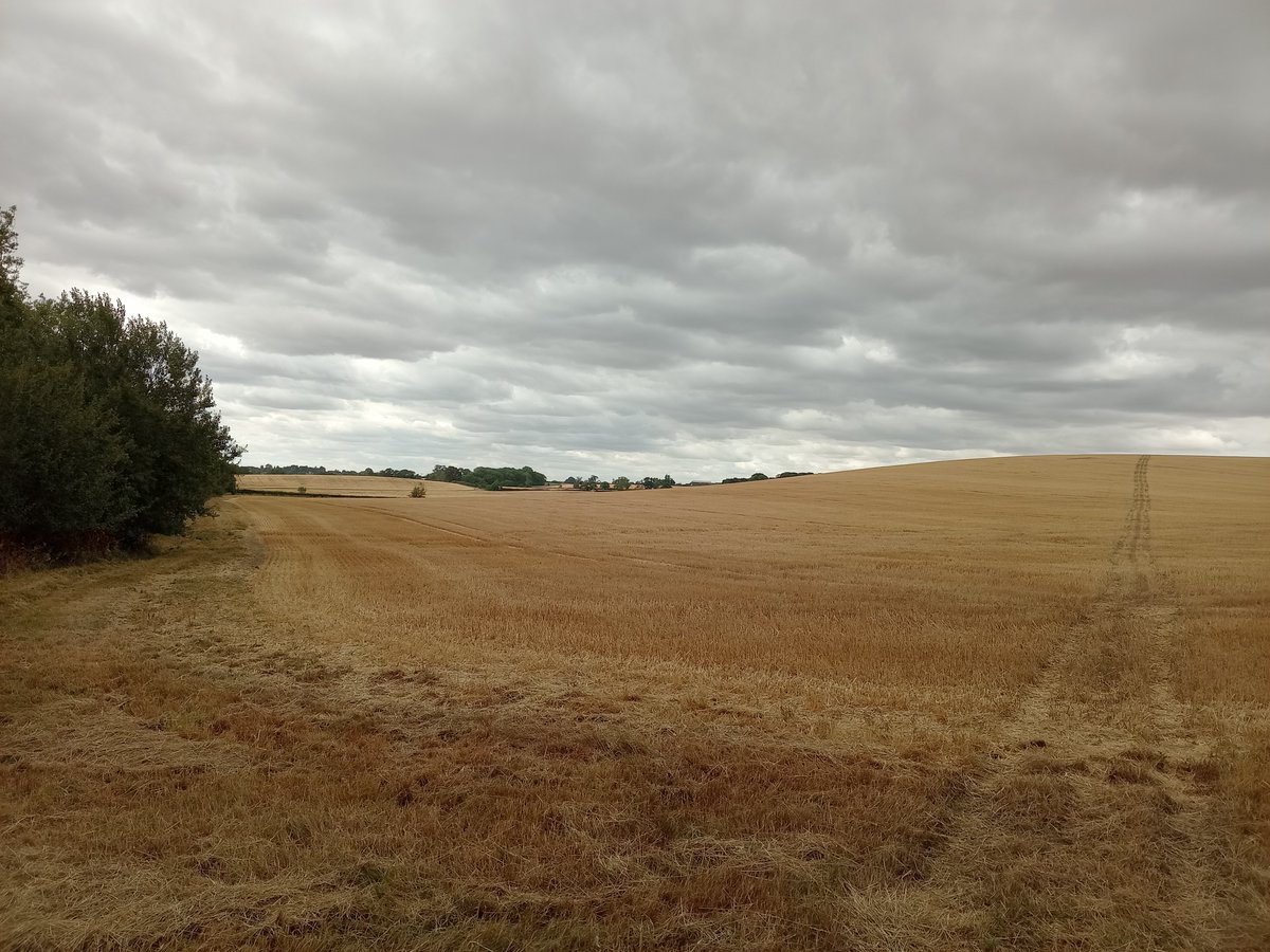 phil0073's tweet photo. On the base of #RocklayHill , looking towards stream Spinney from #SpinneyLays & the field called #RyeCroft. In
#FaxtonFields , #Northamptonshire. PhilOnaBike #WednesdayWander #FridayFields #FootpathFriday #clouds https://t.co/cIiHqMZ2kw