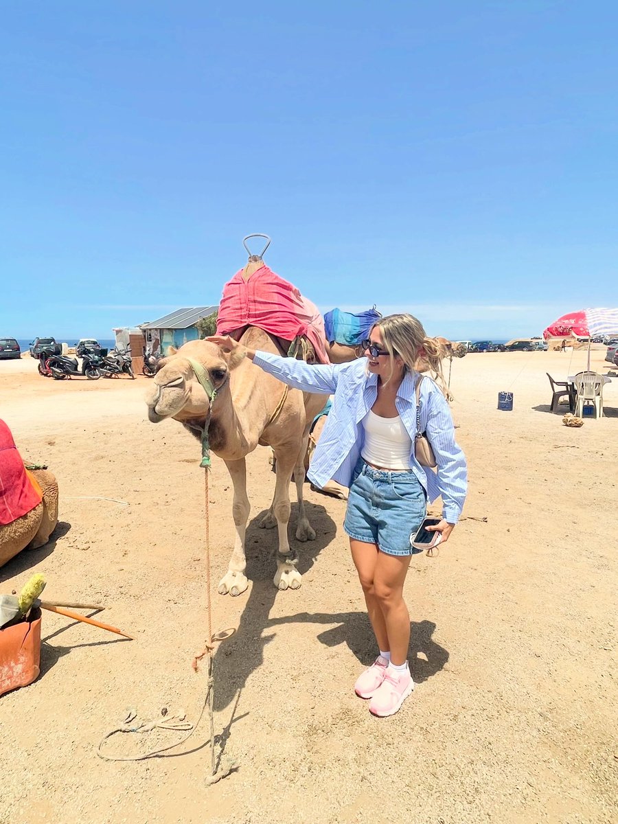 julsmxo's tweet photo. Morocco, Africa 🇲🇦 https://t.co/rYrWy9wcY0