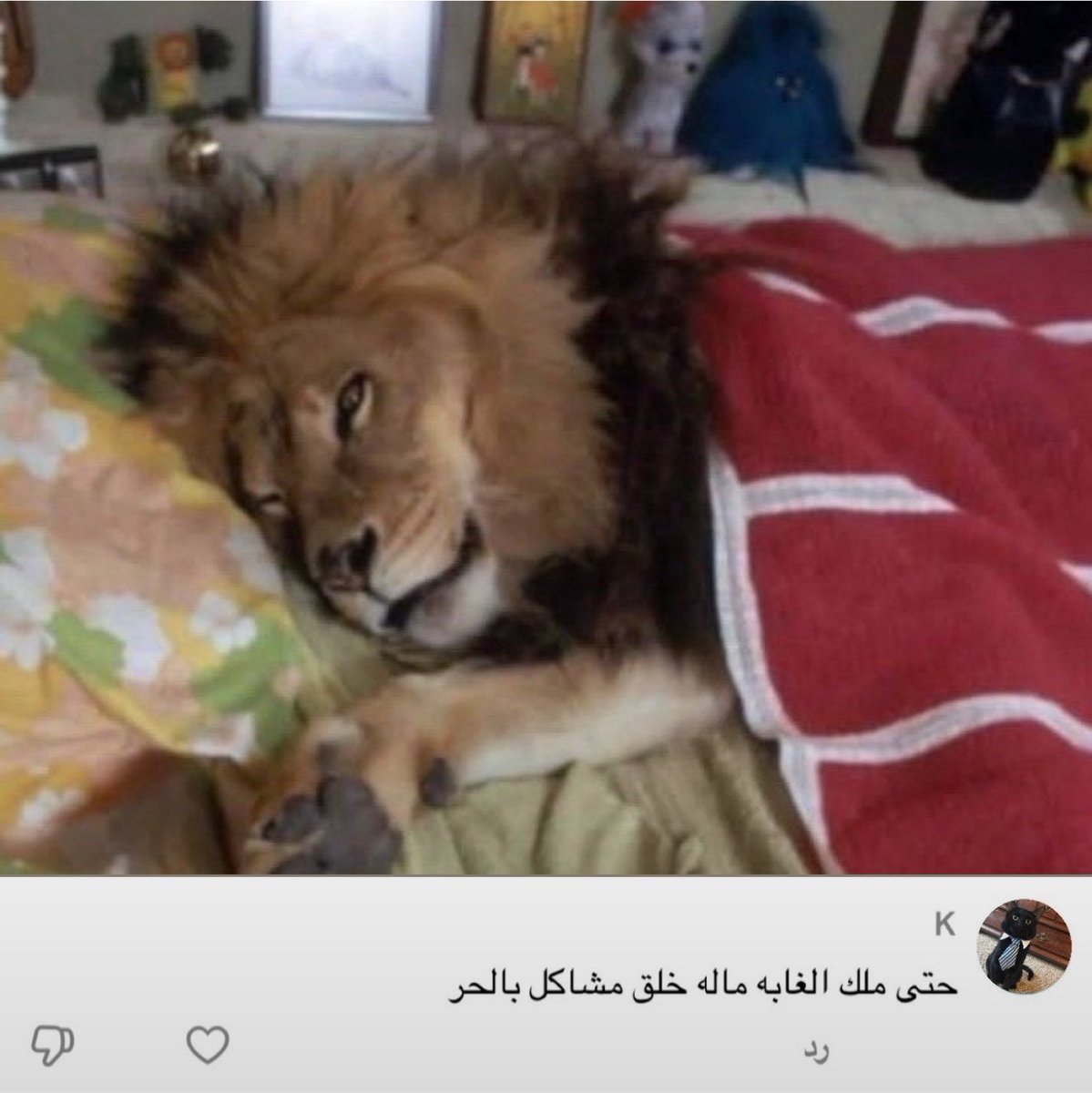 4bwie's tweet photo. الرياكشن مره انا https://t.co/1nRNOwAzDd