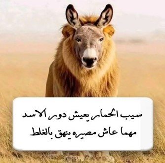 slsh7200's tweet photo. @alghadeer_tv https://t.co/OJv4idW9H7