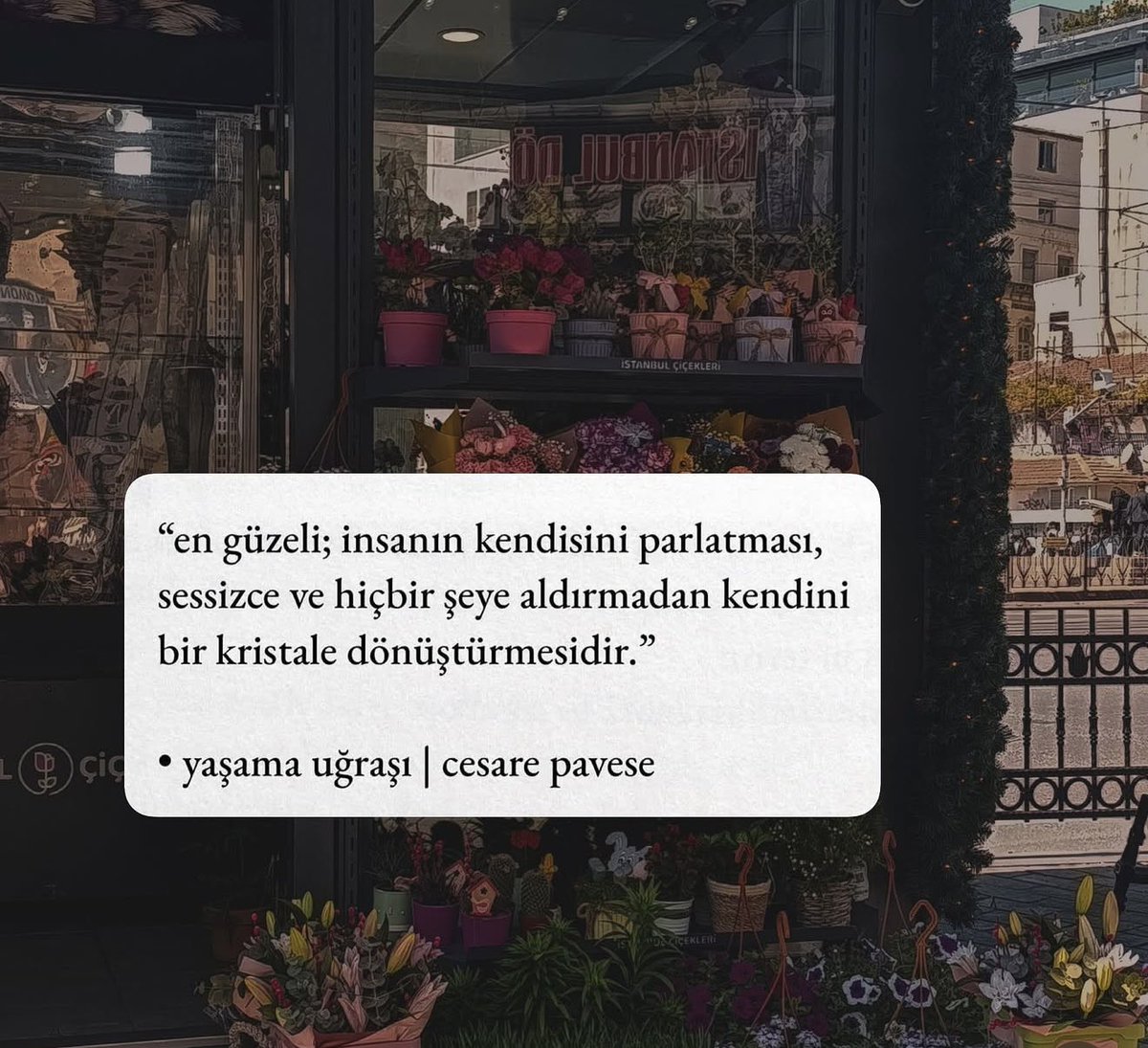 Medcgdm's tweet photo. Günaydınnnnn …☕️ https://t.co/ssfzidy1ng