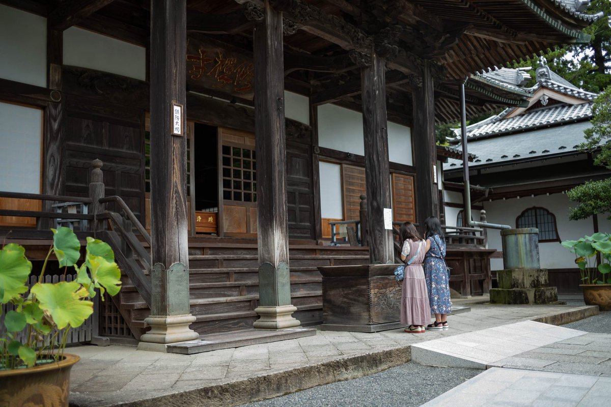 mapcamera's tweet photo. 【中古】本日のおすすめ
【セット購入キャンペーン対象】

「#Leica ズミクロン M35mm F2 ASPH 6bit (フードはめ込み式) ブラック」
https://t.co/OV1kZU6EH4

歪曲収差もほぼゼロ、f4まで絞れば他の追随を許さぬ最高のコントラストと解像力が実現できます！
「標準レンズ」とは、まさにこのコンパクトな広角レンズにふさわしい称号を体験してみてください🌟

✅中古全品ポイント15倍キャンペーン開催中！🔥
✅ショッピングクレジット今なら最大60回まで金利0％
（今なら36回払いの場合　初回￥9,800- 以降 ￥9,400-×35回）
✅LINEの友だち登録・ID連携でオトクな情報を配信中💡
https://t.co/lSL4u2yEVa