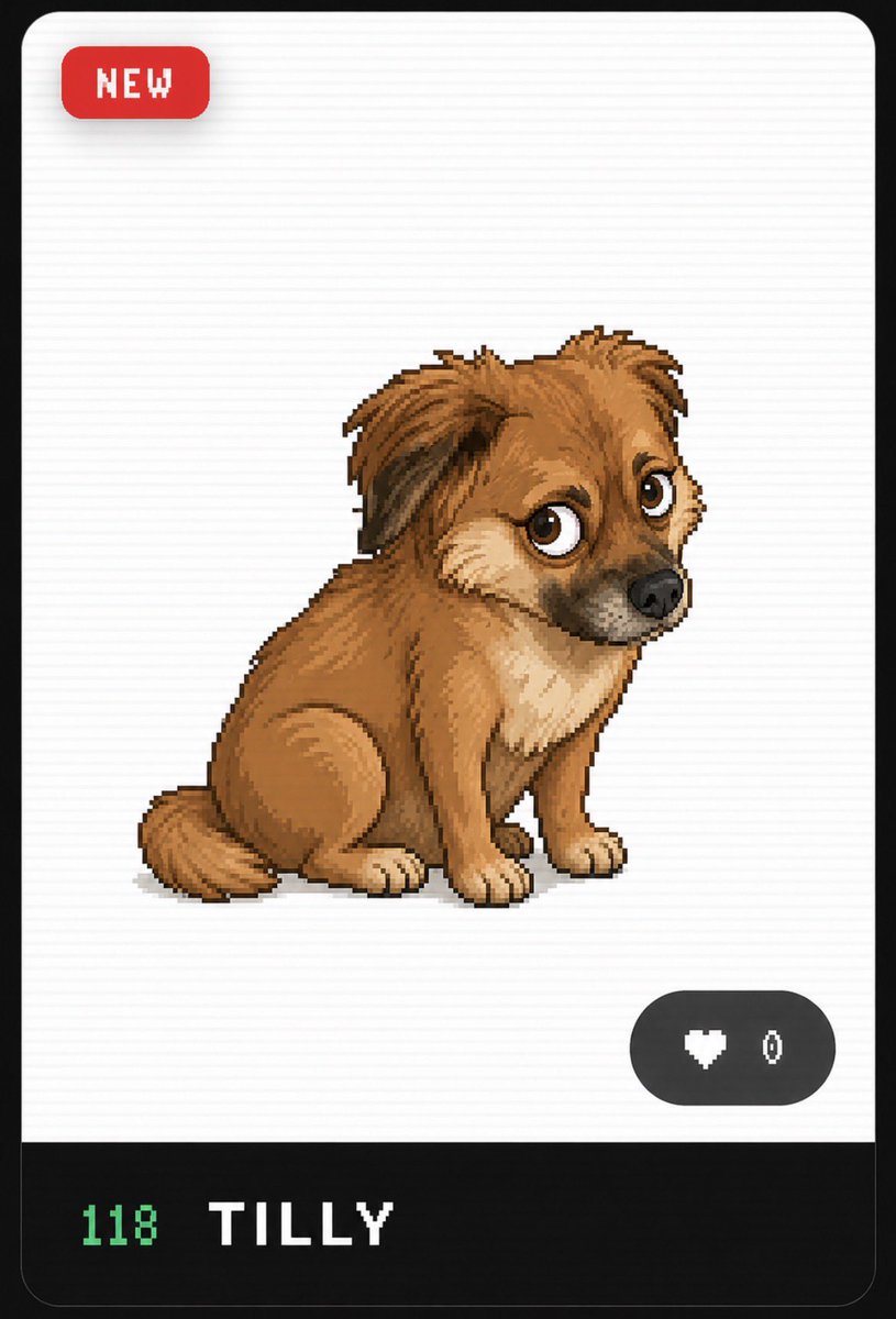 TillyOnChain_'s tweet photo. Hey @solangelestv I found the next two additions for your next episode…

$Tilly and $Jimothy are born to be stars https://t.co/8H9LLjFqJA