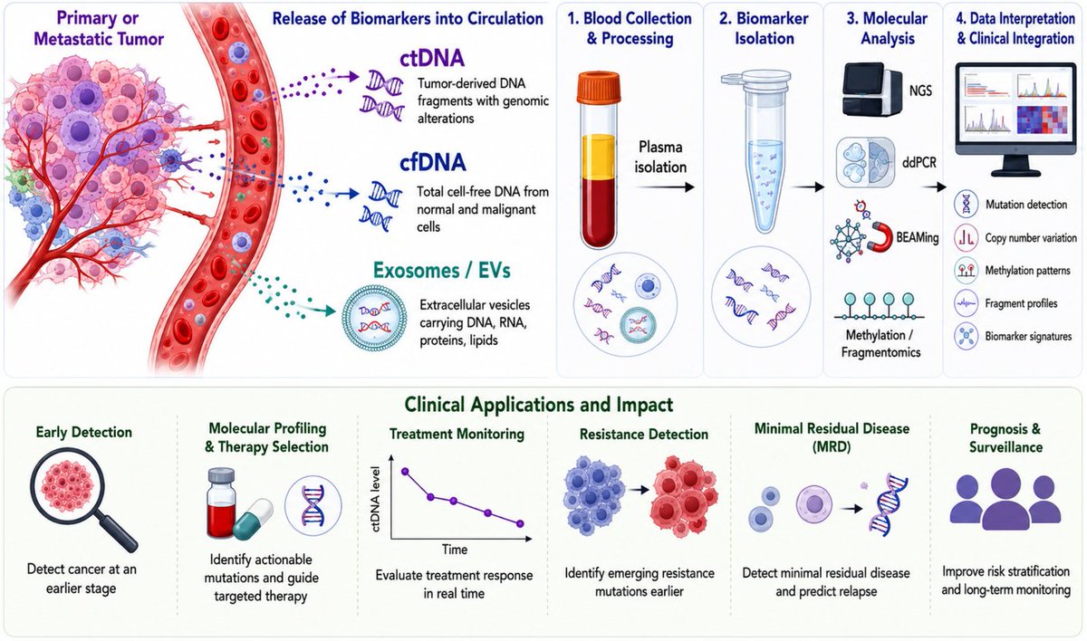 Applsci's tweet photo. 📢 #NewPublishedPaper
📚 Liquid Biopsy in Precision Oncology: Clinical Applications and Emerging Roles of Circulating Tumor DNA, Cell-Free DNA, and Extracellular Vesicles
🔗 https://t.co/UjPlf9TbFj
👨🔬 by by Zsolt Kovács et al.
#liquidbiopsy #circulatingtumorDNA #cellfreeDNA #exosomes