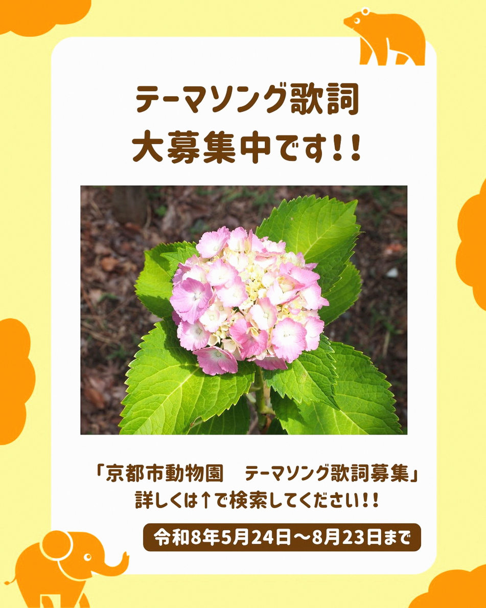 pradeepbp007's tweet photo. 自分が世界から愛されてることを疑わない丸顔の猫🥰 https://t.co/ko0ryT1Li4