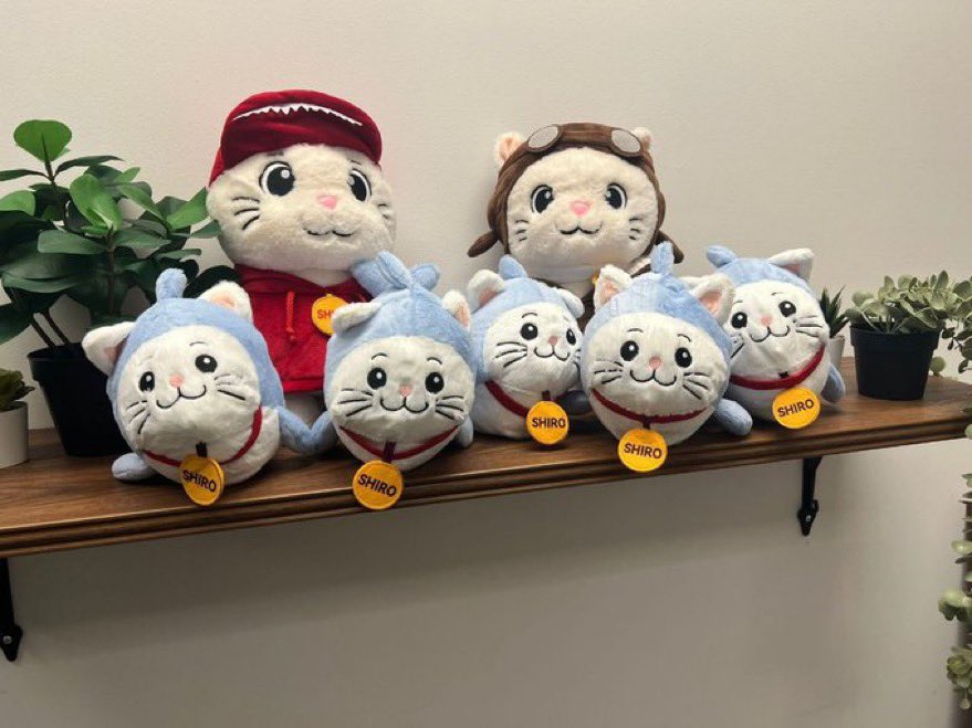 defivanessar's tweet photo. $SHIRO plushies have entered their final form: NFC chips installed, packing almost done and ready to invade your desks. 

Cuteness overload + on-chain perks loading…  we start with maximum paw energy https://t.co/tH7Ber2TBl