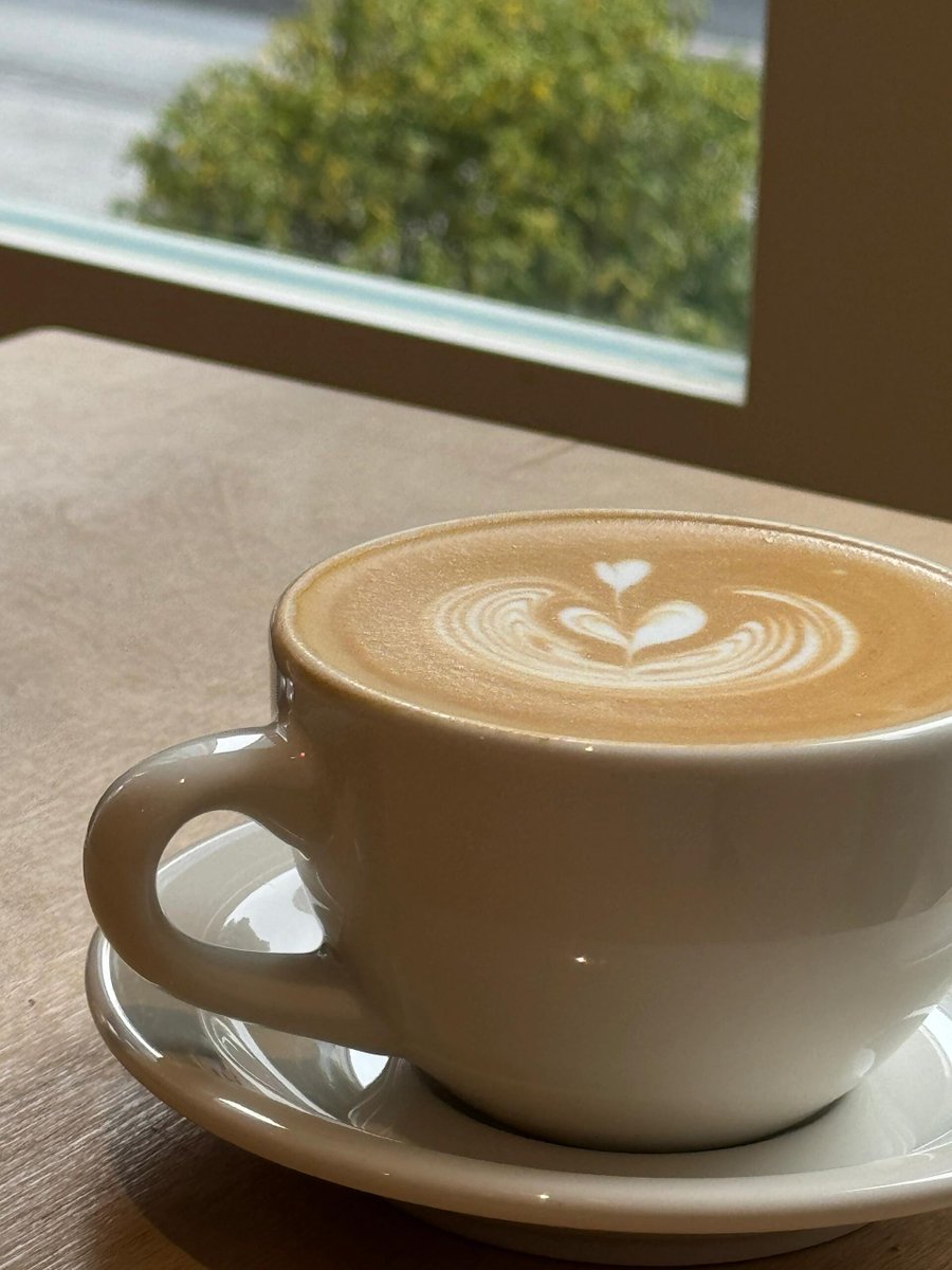 Selviablqs's tweet photo. Just curled up with my favorite book and a warm latte—this is the kind of slow, perfect afternoon I needed ， https://t.co/41Mej8Xqqe
