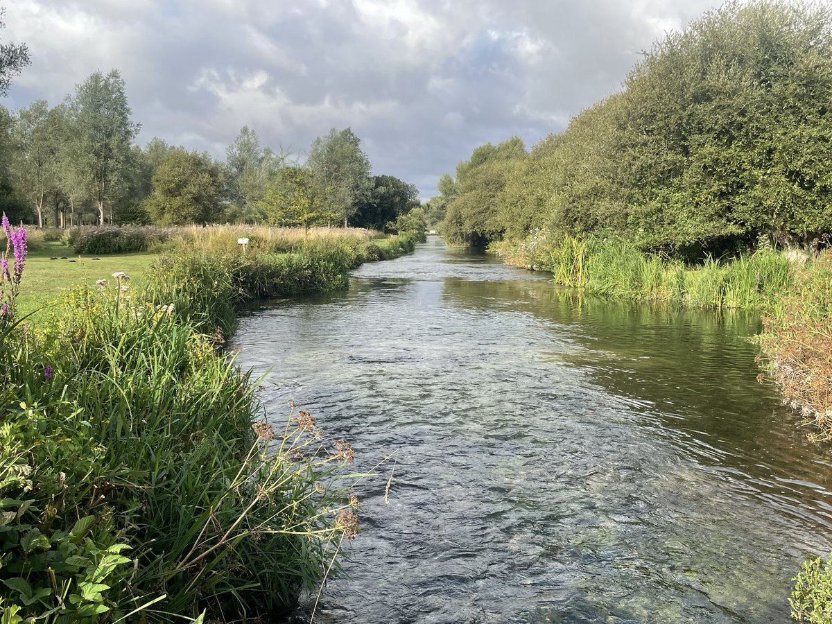 Feargal_Sharkey's tweet photo. And why do I care about the River Test?

Because right now I’m standing on the banks and this is the view. Get your hands off it Southern Water… https://t.co/G78TYva6zs