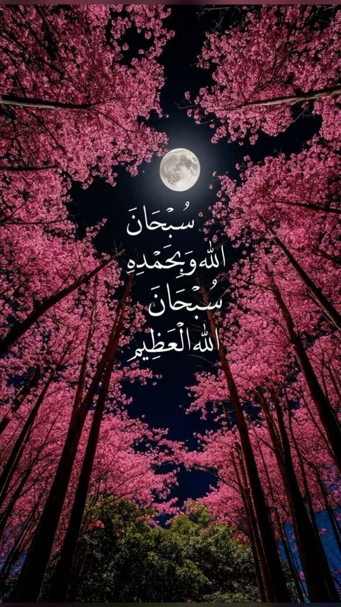 aazkarak's tweet photo. https://t.co/VLG77xqjHR