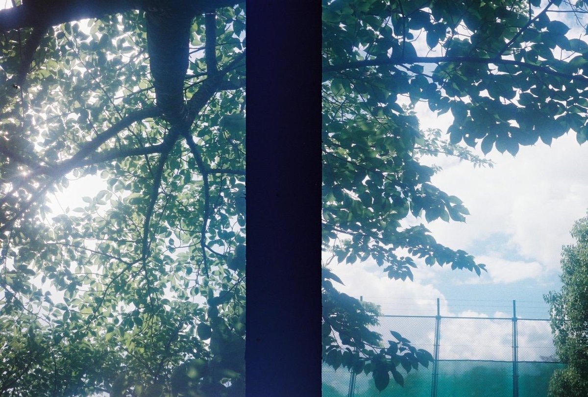 mi_yoo12's tweet photo. 宝物が詰まったハーフフィルム https://t.co/UOGDevQoAZ