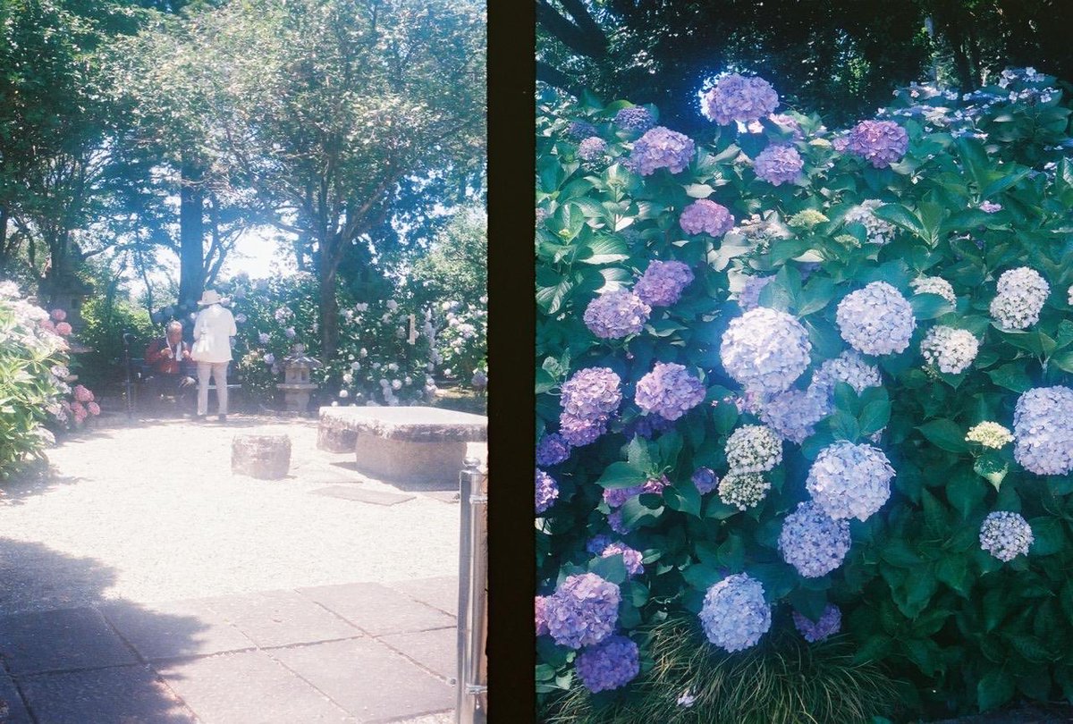mi_yoo12's tweet photo. 宝物が詰まったハーフフィルム https://t.co/UOGDevQoAZ
