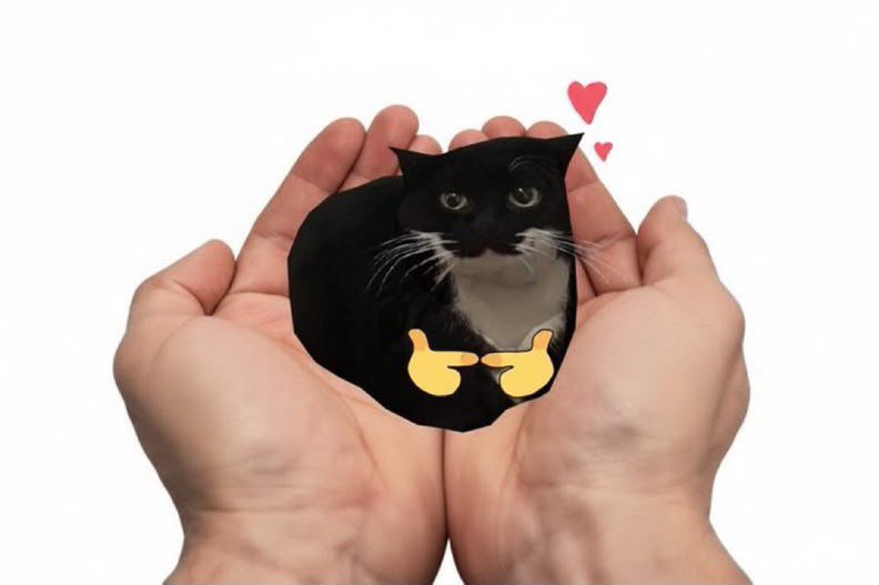 T_S_U777's tweet photo. @bnb_girl1 @DogAvengerToken If you love DOGS, you should look into the CAT community. $SPINCAT looks good here https://t.co/bWMijbV5vY