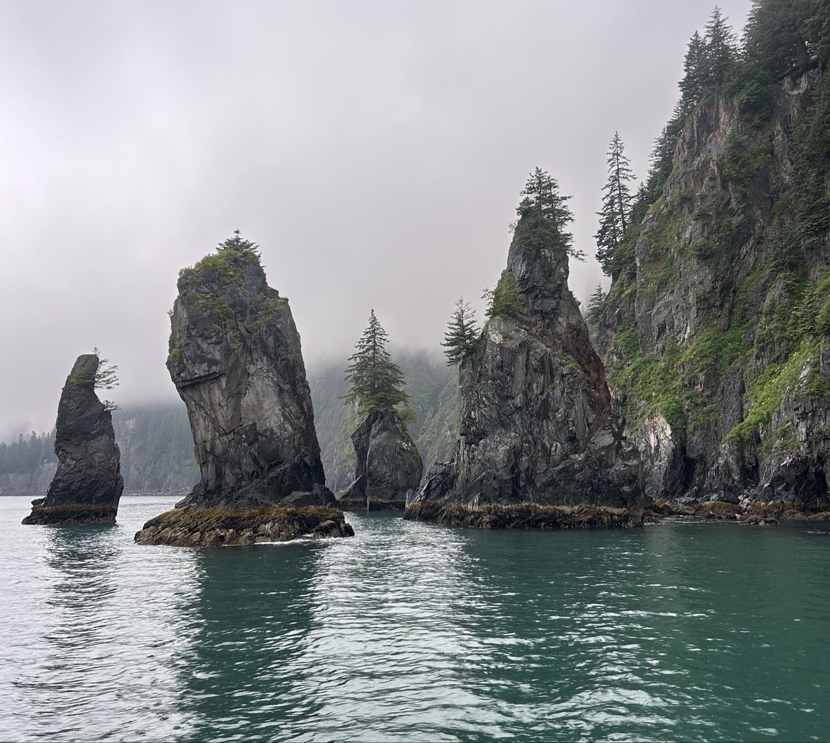 aubieisausome's tweet photo. ‘Bye Alaska. Thanks for the memories! Hope to see you again soon!
#Soldotna #Seward #Anchorage #Fairbanks https://t.co/sLLPZTtDYb