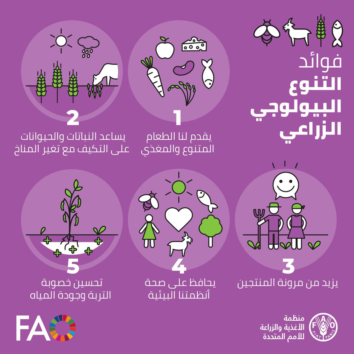 FAOarabic's tweet photo. 🍃 الهواء الذي نتنفسه 
🍲 الطعام الذي نأكله 
🌎 بيئتنا التي نعيش فيها

 جميعهم يعتمدون على وجود #التنوع_البيولوجي https://t.co/rcTp8JepLR