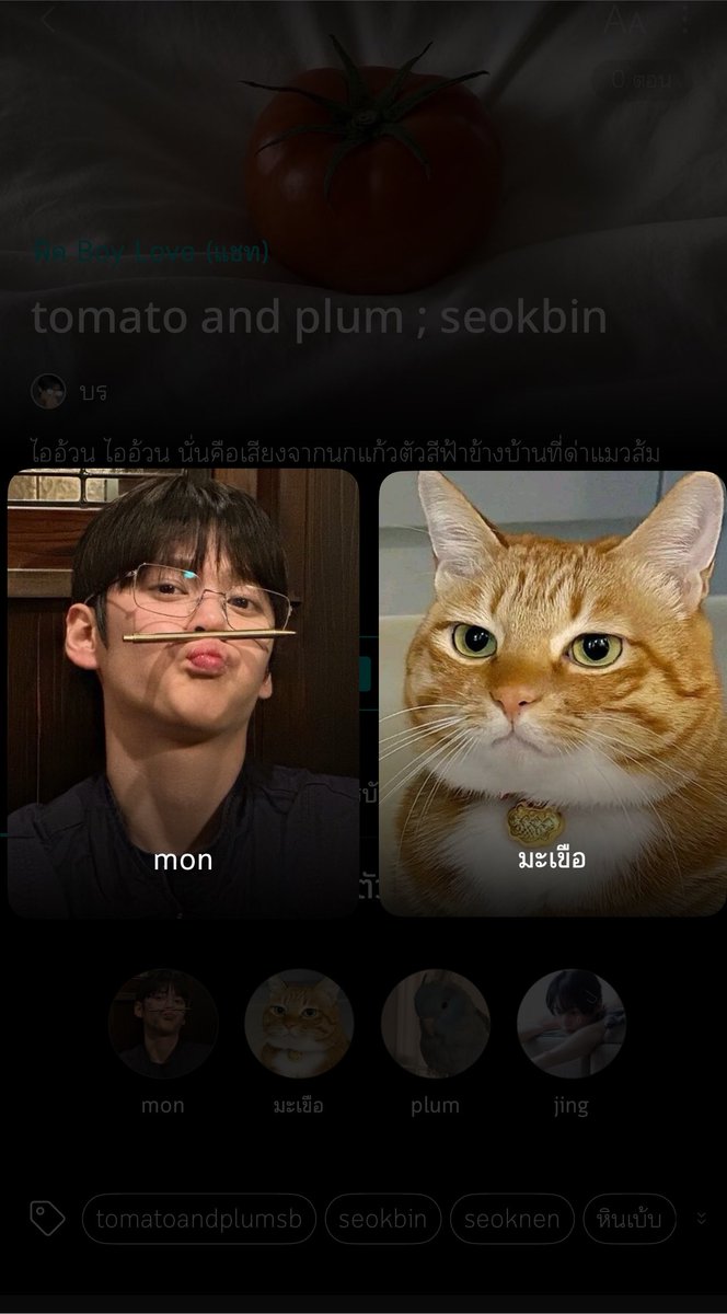 jemujume's tweet photo. คนนึงหน้าเหมือนแมวส้มหน้ามึน อีกคนก็เหมือนนกฟ้าตาแป๋ว 55555555555555555555 https://t.co/7sUgbn0oop