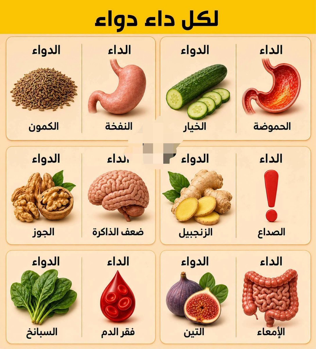 Thaqafnafsak's tweet photo. #لكل_داء_دواء #ثقف_نفسك #نصائح_صحية #معلومات_صحية #صحتك_في_معلومة #طب_بديل https://t.co/3js3oJegSw