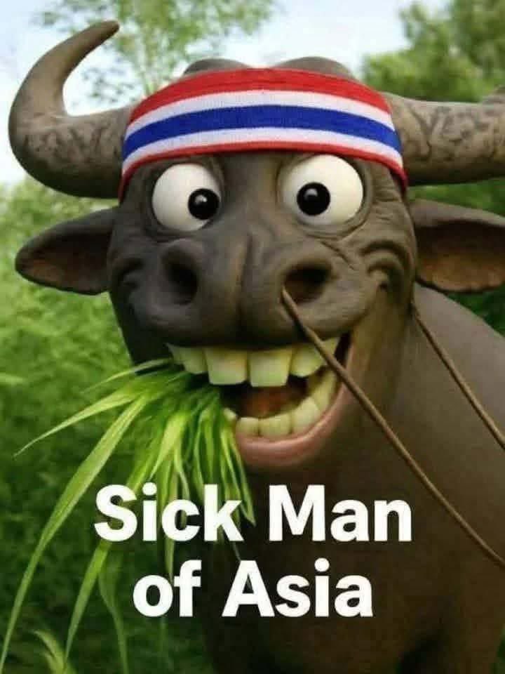 MolyEden's tweet photo. @KhaosodEnglish Sick man of Asia 🇹🇭🐃 https://t.co/YfFmqoyIEY