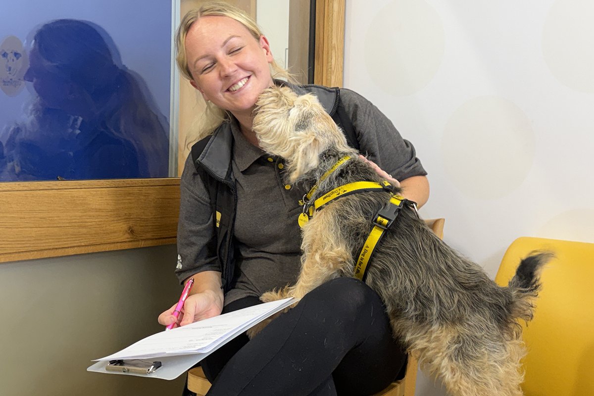 DT_Leeds's tweet photo. 💛🐶 MEET JACK 🐶💛

jack is a 10yr old Jack Russell Terrier Crossbreed who is looking for a peaceful retirement home through no fault of his own. 😔

Find out if you're the PAWfect match he's looking for 👉 https://t.co/JgvEXe5s9S

#RescueDog #AdoptDontShop #Leeds @DogsTrust https://t.co/MPrlNyx6C6