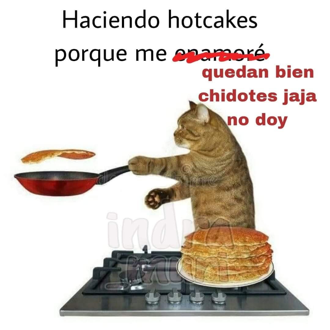 borrad0r_'s tweet photo. https://t.co/lq7mKlItoY