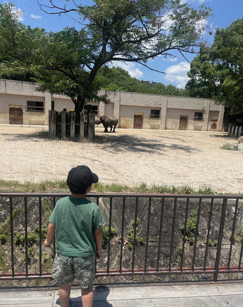 KadiirTaskin's tweet photo. とても良い保護スピードだ！猫ちゃんの英断もありつつだけど立派👏 https://t.co/YeKAexN6Fb
