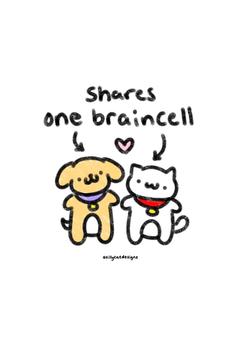 sillycatdesignz's tweet photo. they pass it back and forth like a hot potato :3 https://t.co/dNEkJI36Ct
