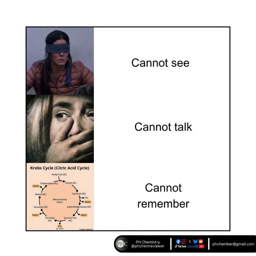 phchemreviewer's tweet photo. Pyruvate? Acetyl-CoA? My brain left the chat.

#Biochemistry #biology https://t.co/eAYiCfMbnc
